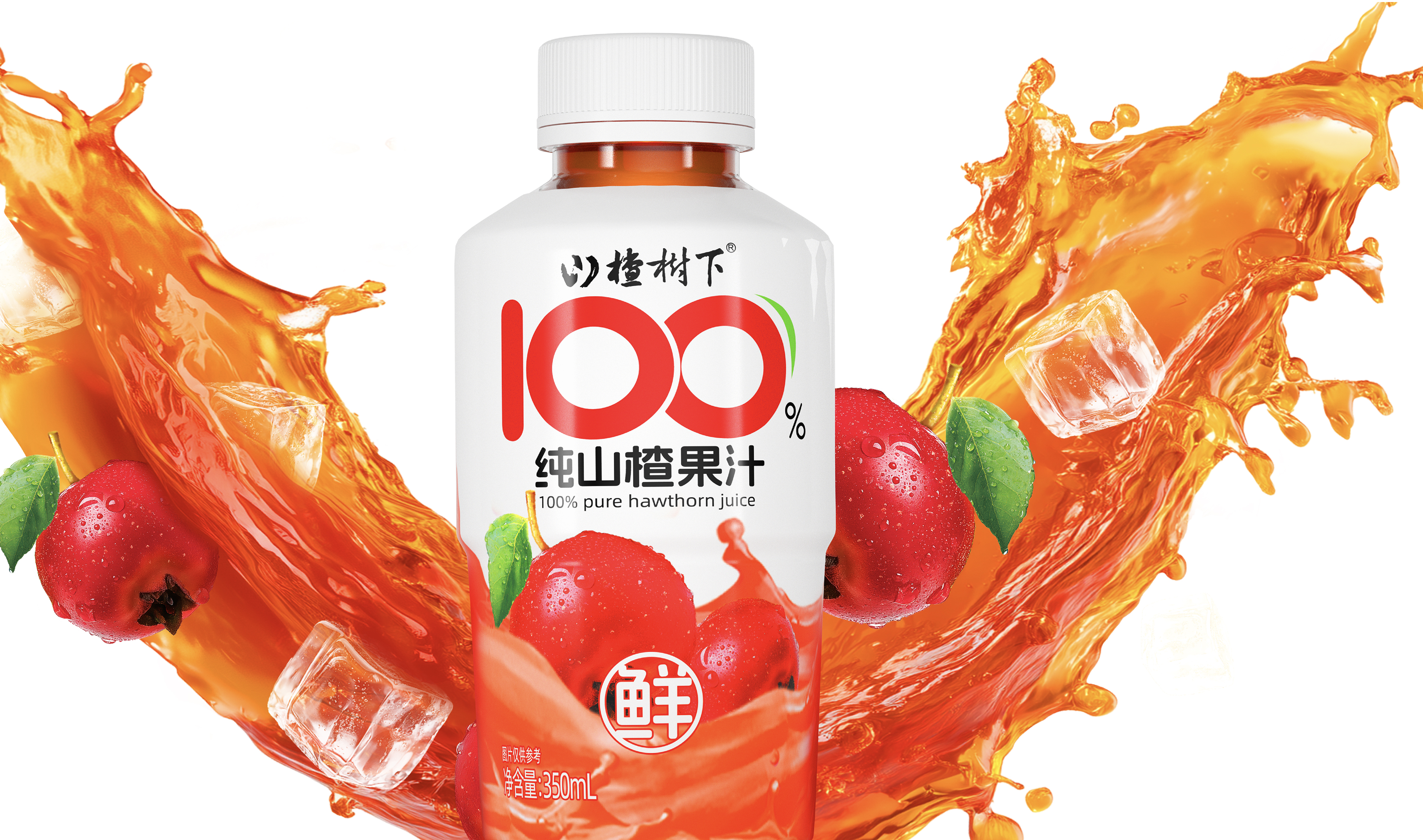 山楂树下 奥乐齐
